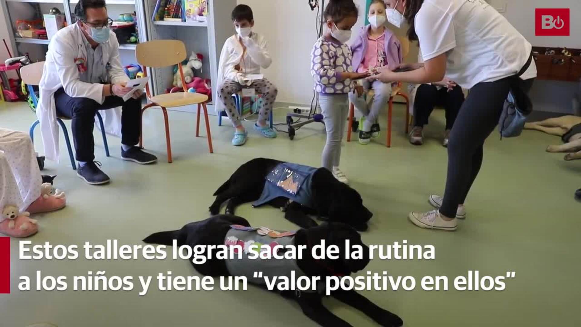 As Es La Terapia Con Perros Para Los Ni Os Ingresados En El Hospital