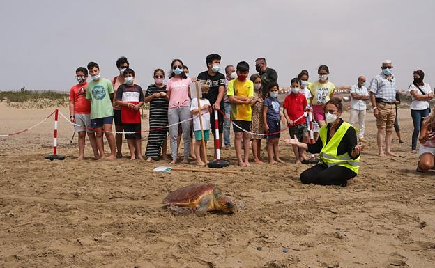 Los alumnos retornan a las actividades de concienciación ambiental del Cabildo