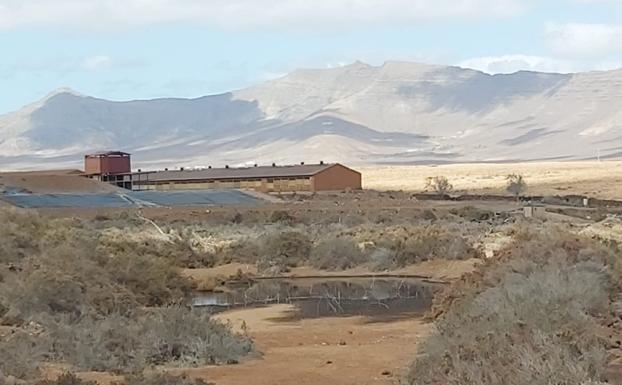Medio Ambiente investiga el vertido de purines de Goroy