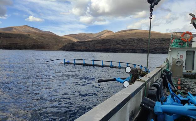 «El Gobierno no impone, si Lanzarote dice no a la acuicultura, se aceptará»