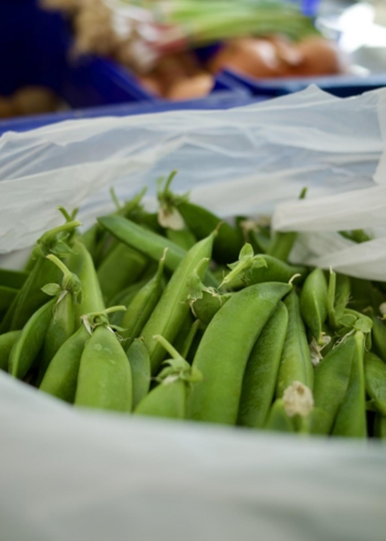 Azoka Zure Etxera Productos De Calidad Del Caser O A La Cocina El