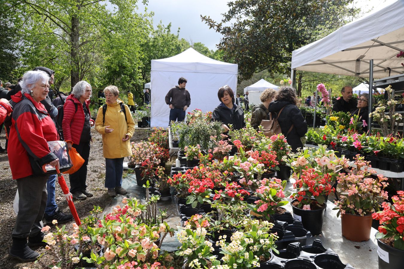 Miles De Personas Visitan La Feria De Plantas De Iturraran El Diario