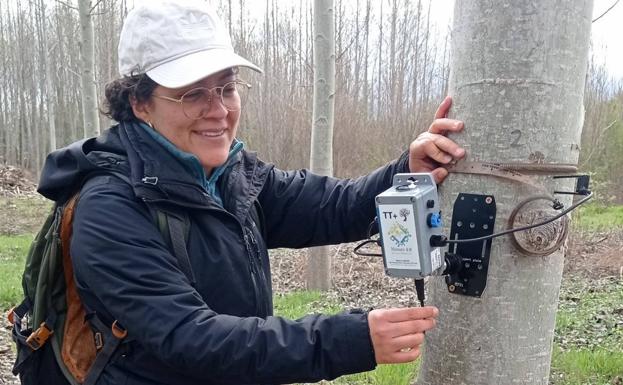 La empresa Bosques y Ríos premia los mejores trabajos sobre cultivo del chopo de los alumnos del Campus de Ponferrada