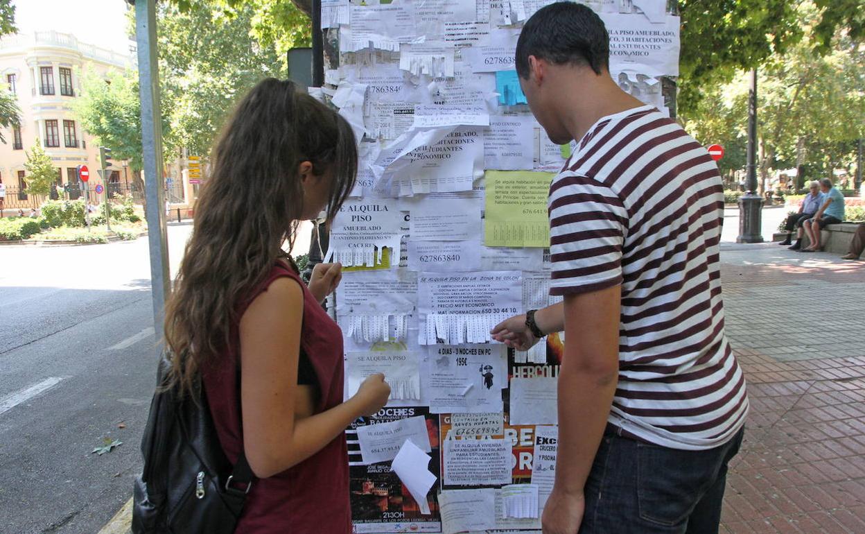 La Junta Convoca Ayudas Para El Alquiler De Vivienda Por 4 4 Millones