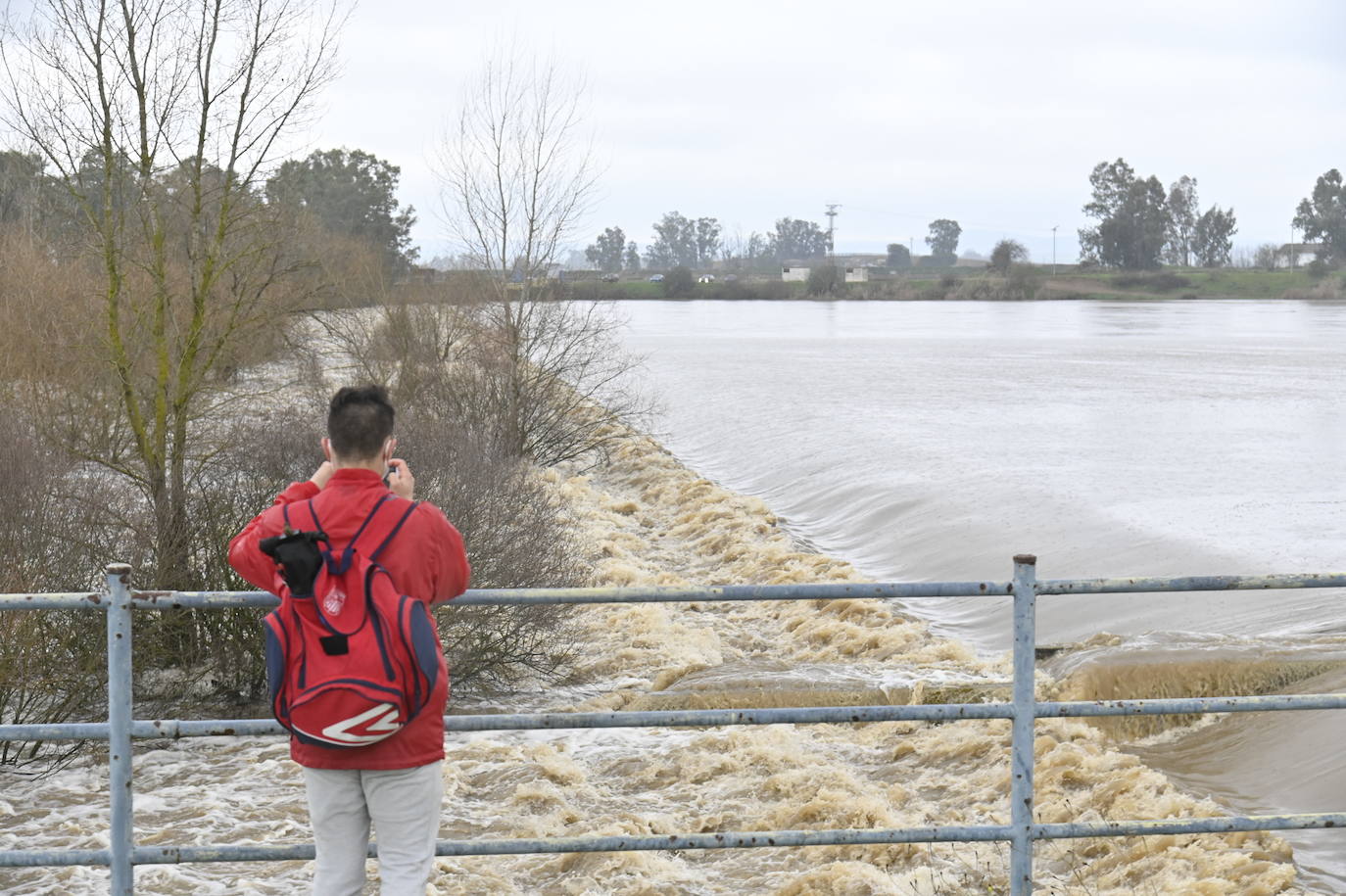 Fotos Los Cauces Del Guadiana Y De Los Arroyos Rivilla Y Calam N A Su