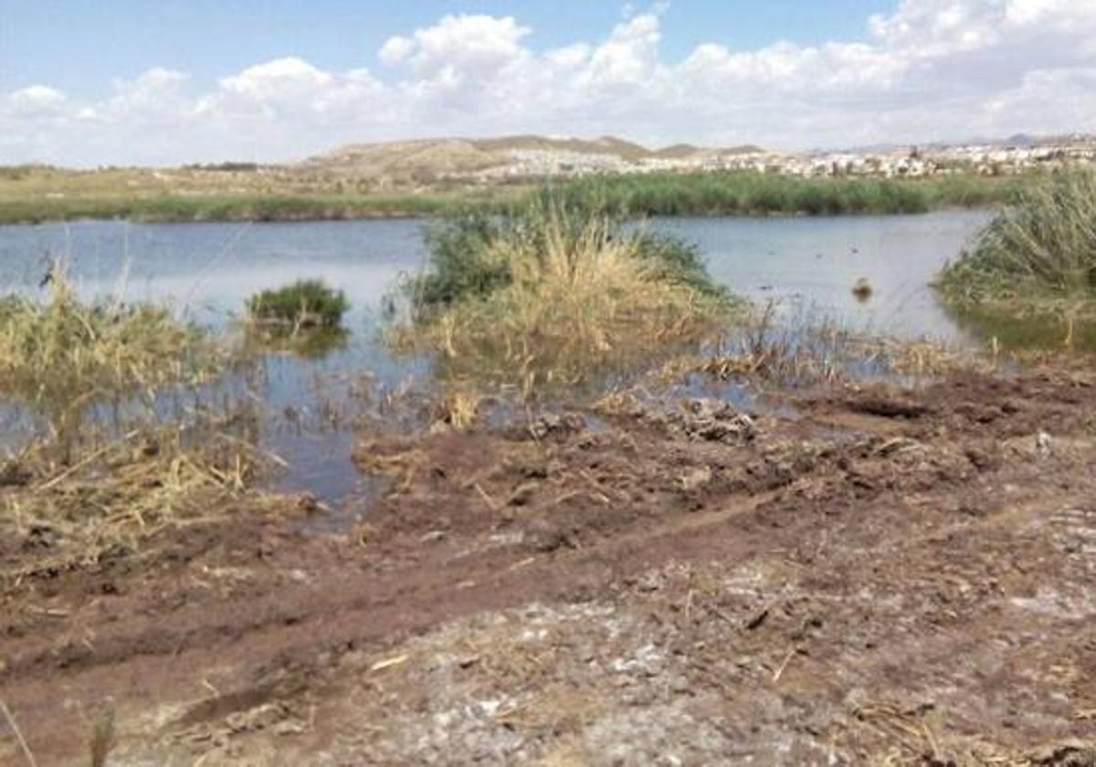 El Psoe Propone Declarar Paraje Natural Protegido El Salar De Los Canos