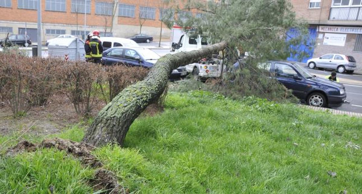 El Fuerte Viento Provoca La Ca Da De Un Rbol Sobre Un Veh Culo La