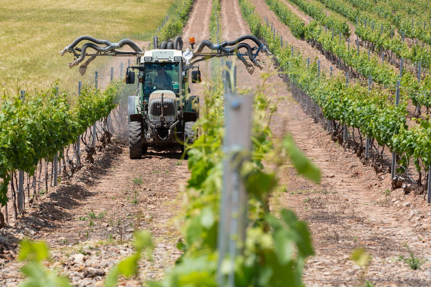 Las Exportaciones Agroalimentarias Crecieron Un 5 7 Durante 2020 La