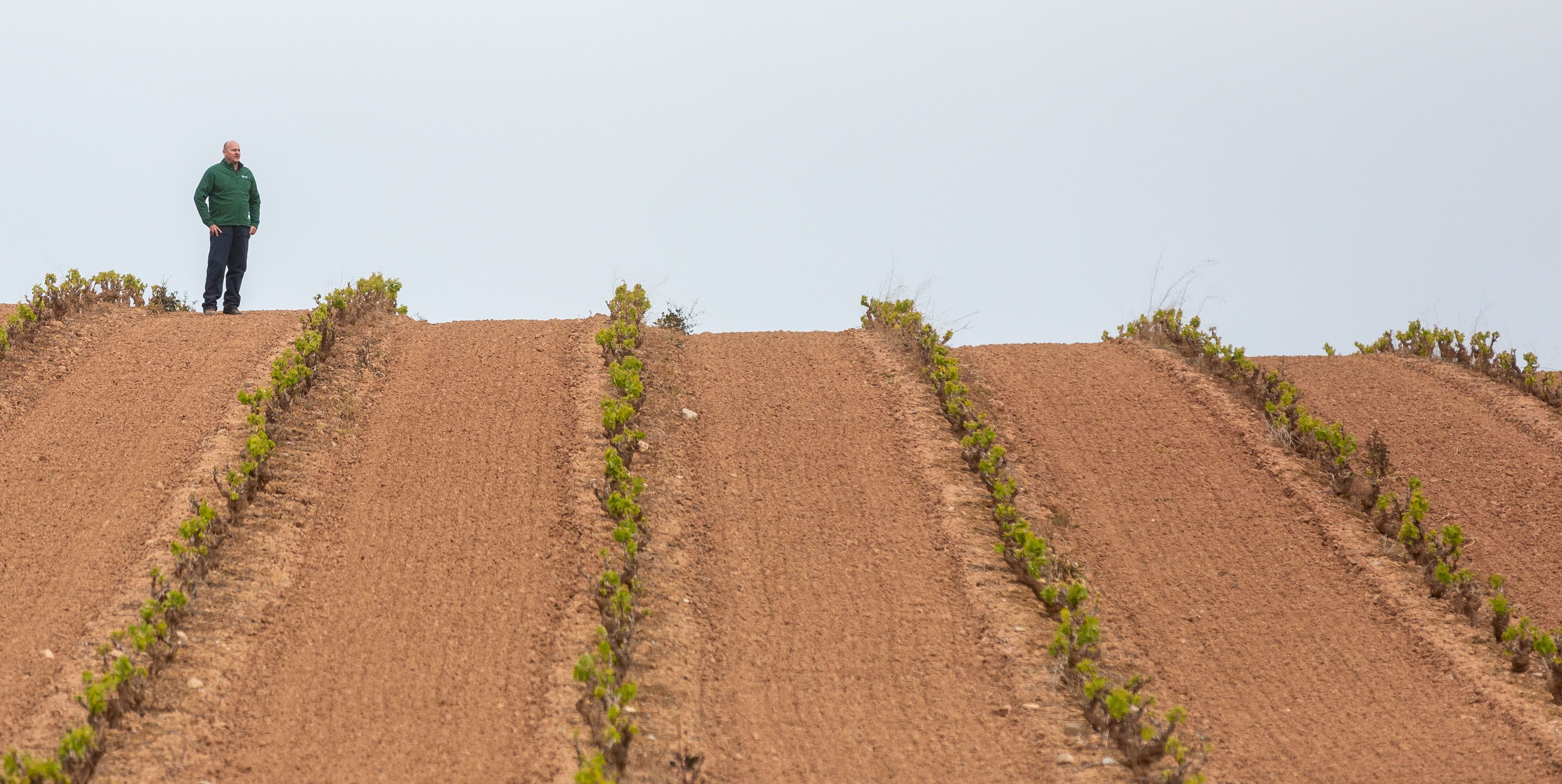 El Paro Sube En Personas En El Primer Trimestre En La Rioja Hasta