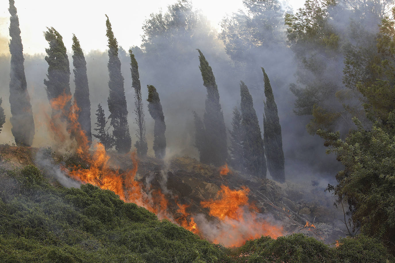 El tiempo HOY en Valencia Alicante y Castellón Última hora incendio