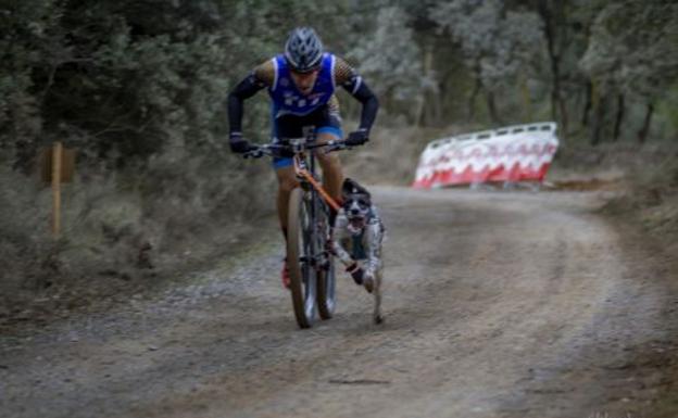 Un Oro Y Una Plata Para Mushing Monta A Oriental En El Campeonato De