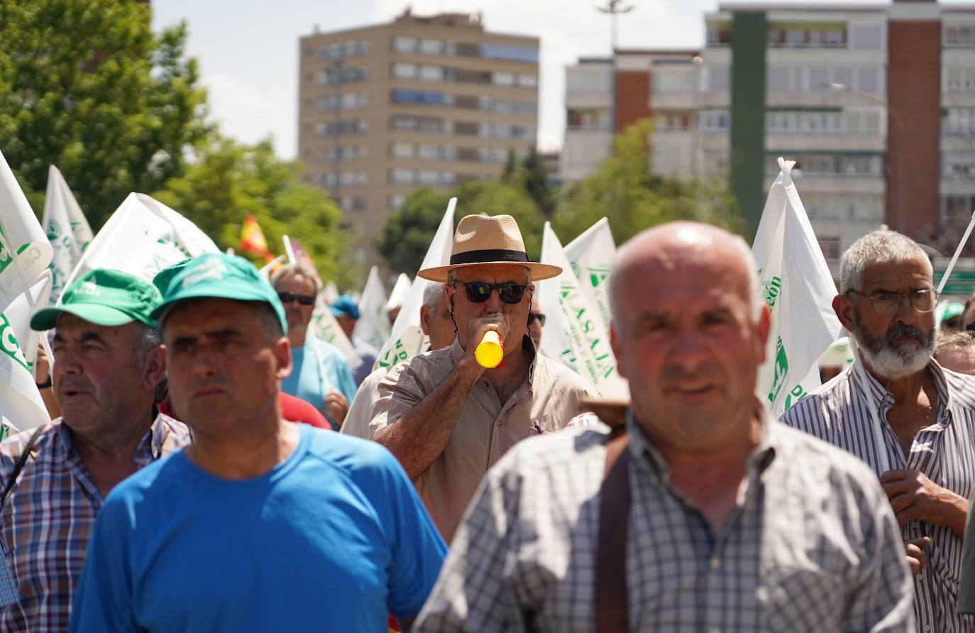 Manifestaci N Del Campo Para Exigir Ayudas Frente A La Sequ A