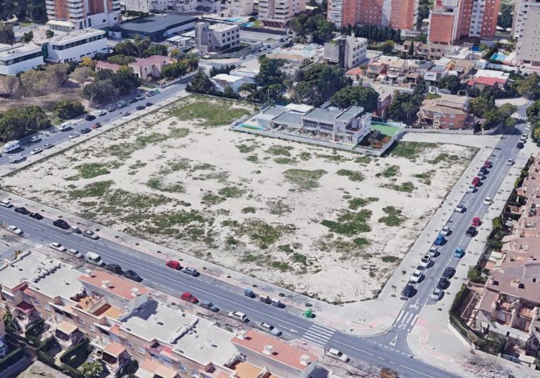 Los consejos escolares de Alicante y Elche claman contra la Conselleria de Educación