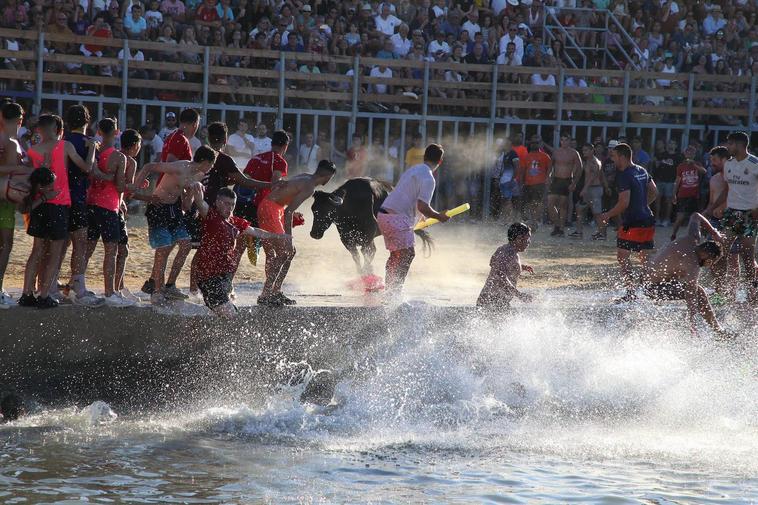 Fiestas de bous a la mara en Dénia Dénia Animal Save se manifestará