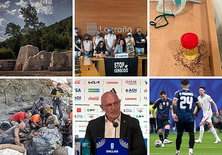 newsImagen