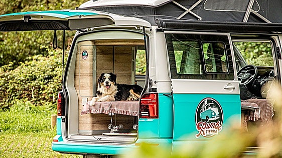 ¿Viajas con tu perro, tu pareja o tus amigos? esta app te dirá qué ruta en autocaravana te conviene
