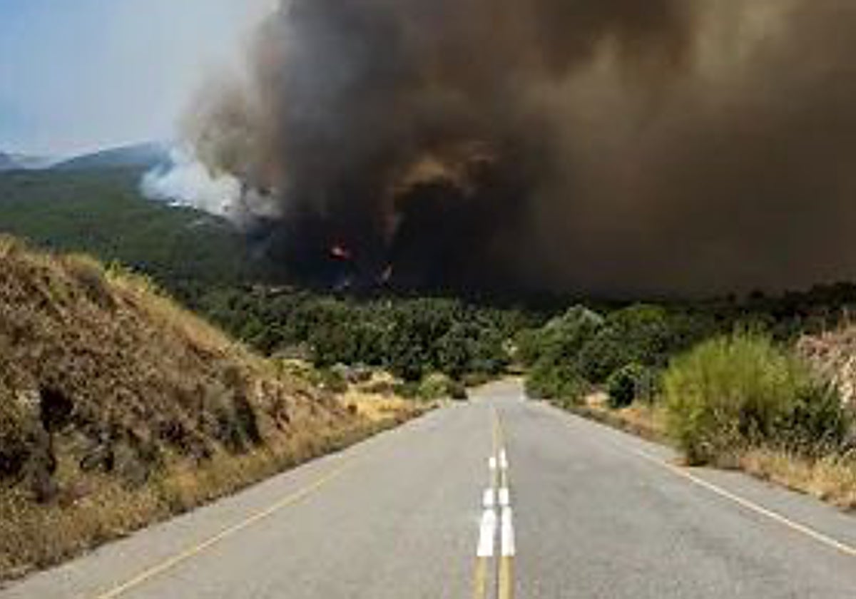 Incendio en la carretera