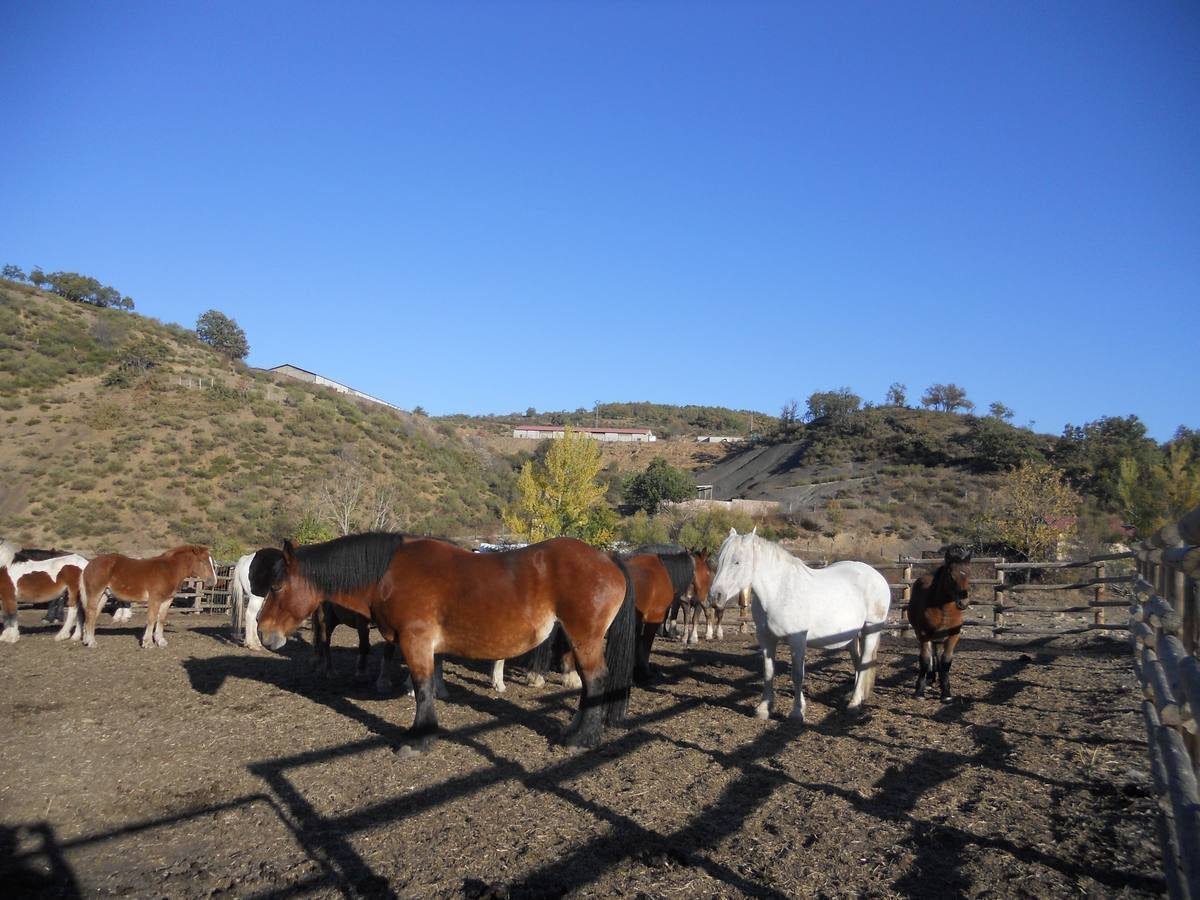 La ruta parte de la localidad de Santa María de Redondo, siguiendo el curso del río Pisuerga, hasta llegar a la magestuosa cueva de Fuente Cobre