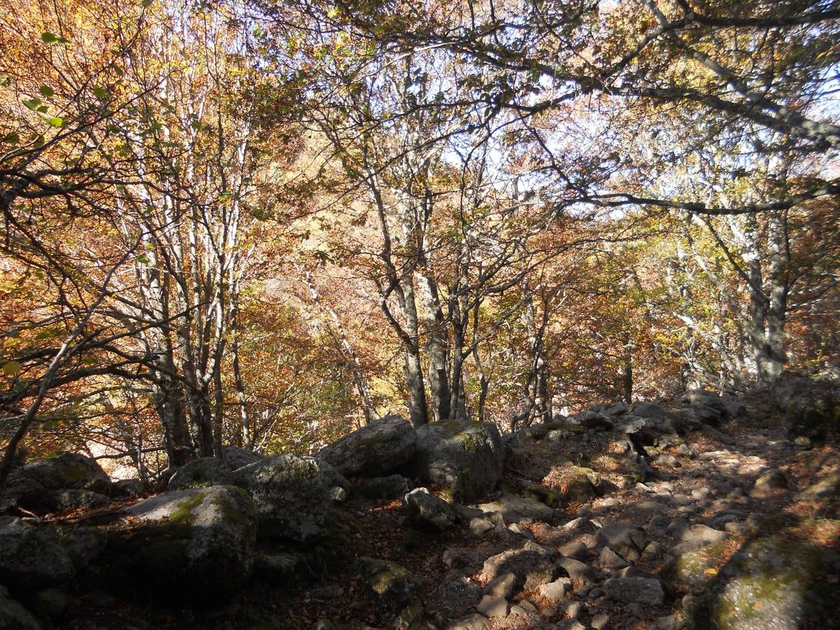 La ruta parte de la localidad de Santa María de Redondo, siguiendo el curso del río Pisuerga, hasta llegar a la magestuosa cueva de Fuente Cobre