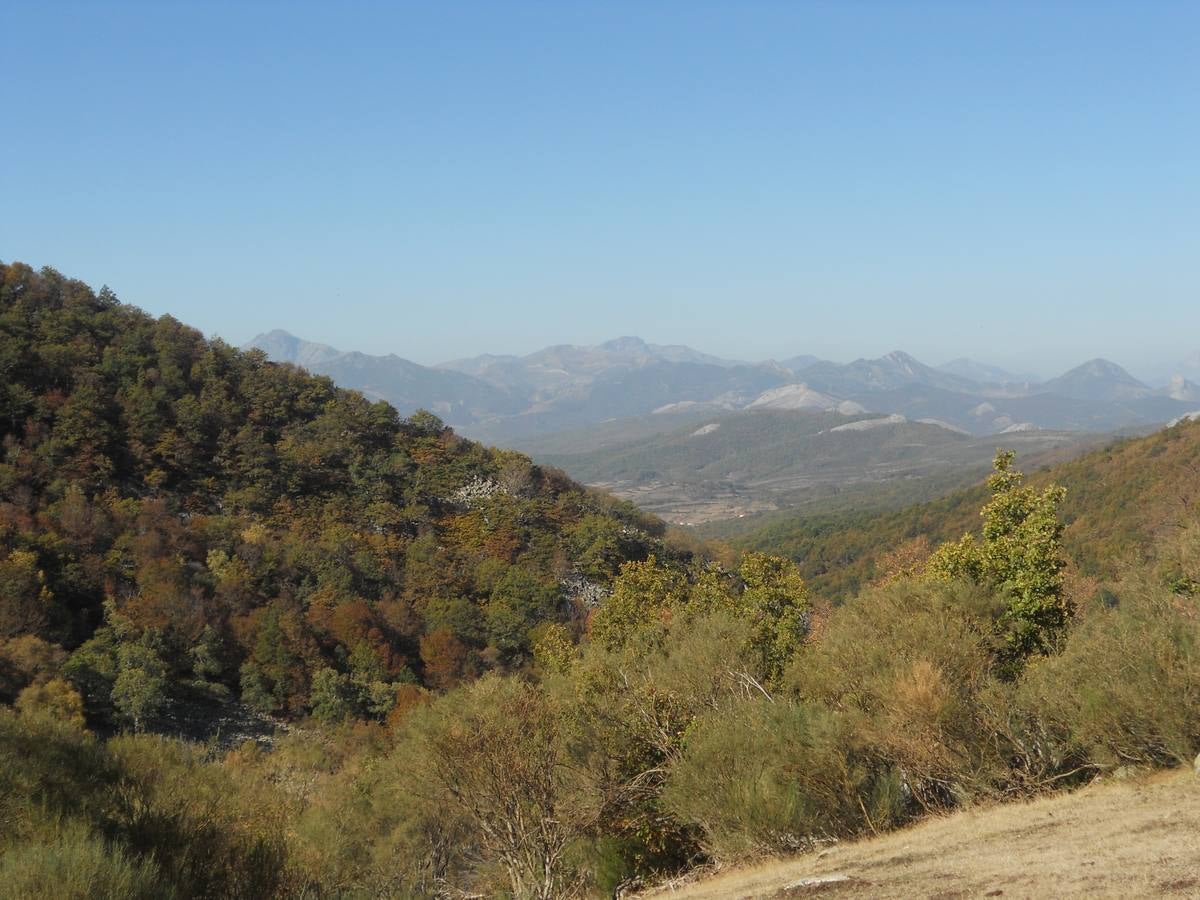 La ruta parte de la localidad de Santa María de Redondo, siguiendo el curso del río Pisuerga, hasta llegar a la magestuosa cueva de Fuente Cobre