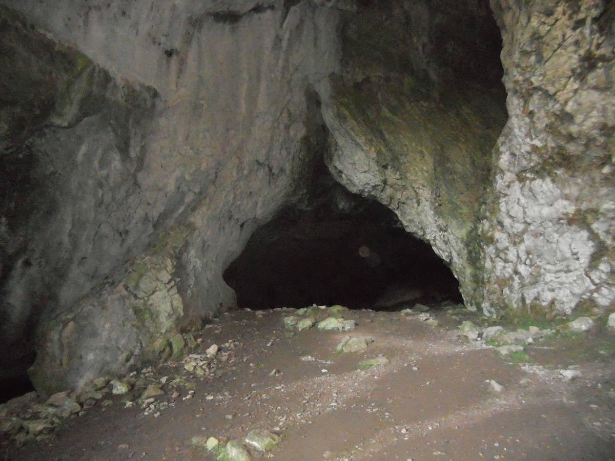 La ruta parte de la localidad de Santa María de Redondo, siguiendo el curso del río Pisuerga, hasta llegar a la magestuosa cueva de Fuente Cobre