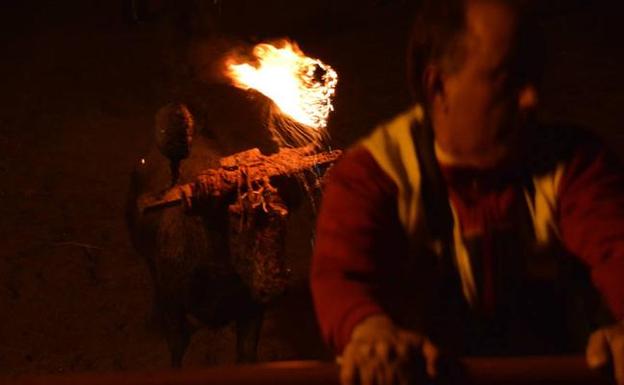 Toro Jubilo de Medinaceli