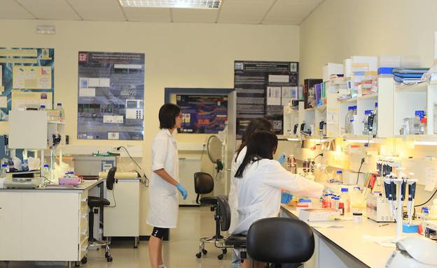 Laboratorio de la facultad de Ciencias de la Universidad de Valladolid