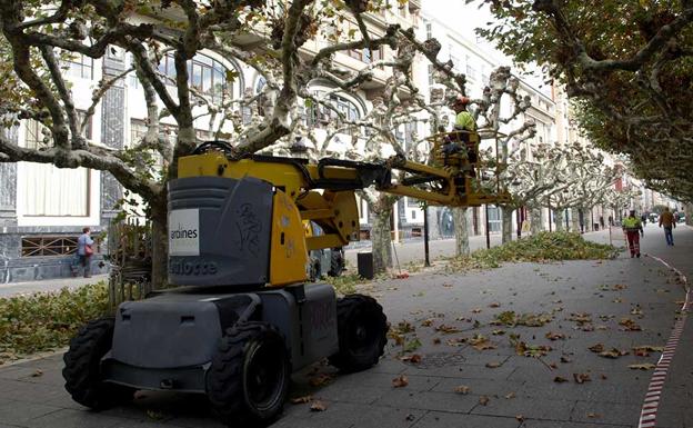 El servicio se gestiona a través de contrato y ahora pasará a Medio Ambiente