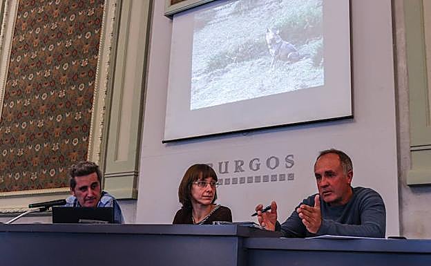 Juan Ángel de la Torre, Isabel Díez y Leandro Valle