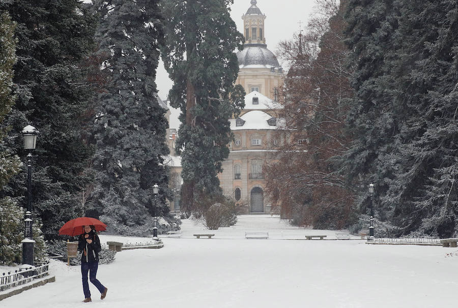 El temporal de nieve y bajas temperaturas es ya una realidad en la provincia de Segovia, donde las primeras nevadas obligan a circular con precaución.