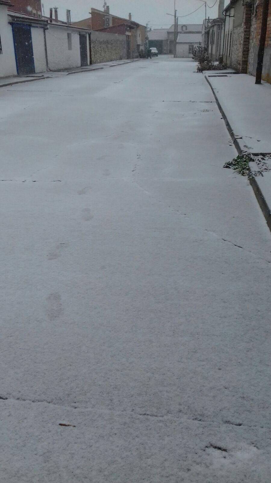 Pisadas sobre la nieve en La Parrilla, Valladolid.