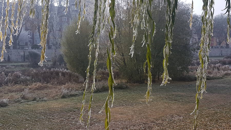 La ciudad burgalesa se ha levantado con el blanco subido, mucho frío pero bellas estampas invernales