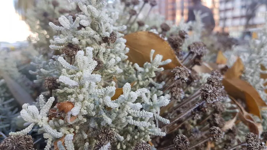 La ciudad burgalesa se ha levantado con el blanco subido, mucho frío pero bellas estampas invernales