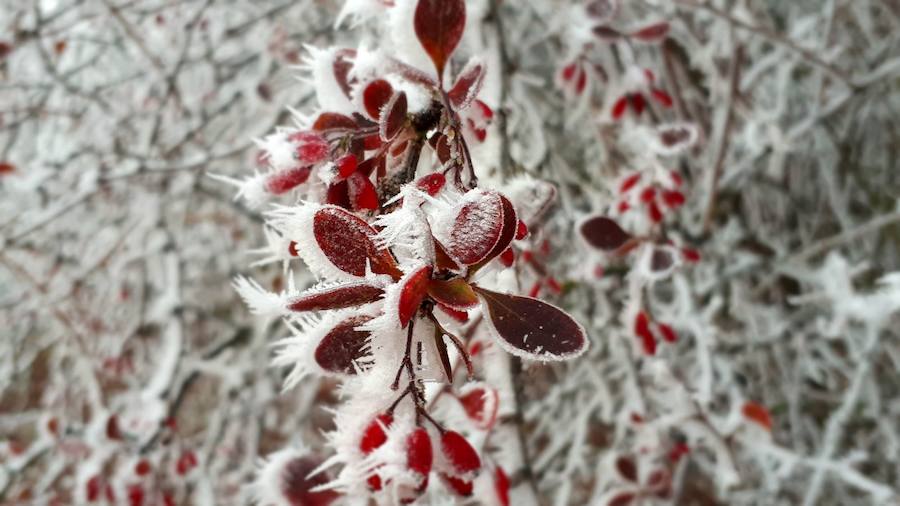 La ciudad burgalesa se ha levantado con el blanco subido, mucho frío pero bellas estampas invernales