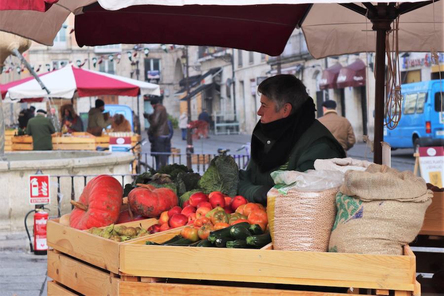 Del 6 al 10 de diciembre, la Plaza de la Flora acoge un mercado 'Autöctono' con productos ecólogicos.
