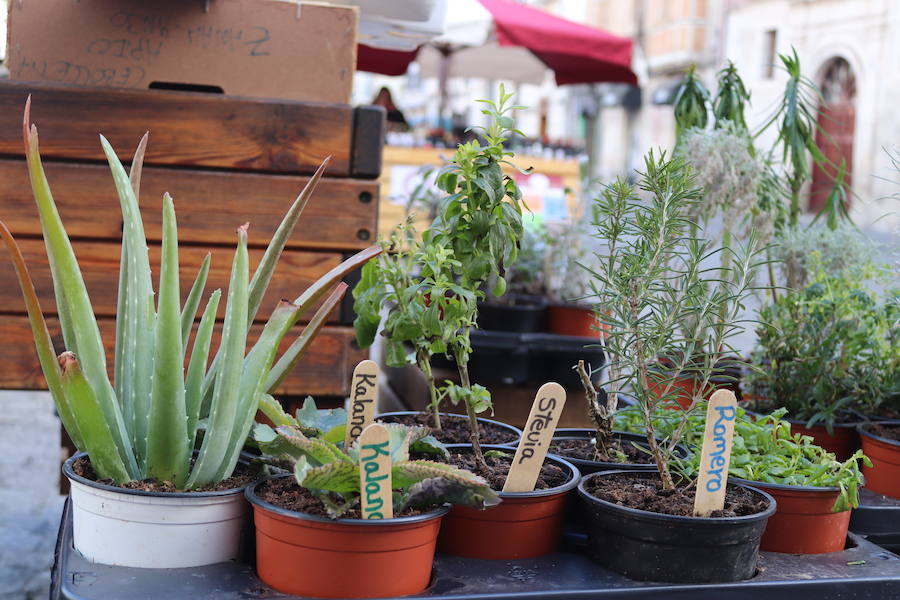 Del 6 al 10 de diciembre, la Plaza de la Flora acoge un mercado 'Autöctono' con productos ecólogicos.
