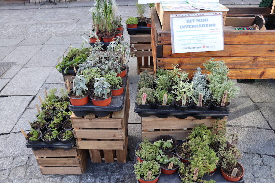 Del 6 al 10 de diciembre, la Plaza de la Flora acoge un mercado 'Autöctono' con productos ecólogicos.