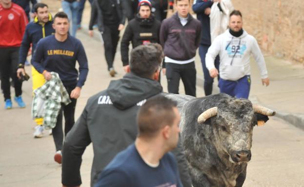 Un momento del encierro en Pollos