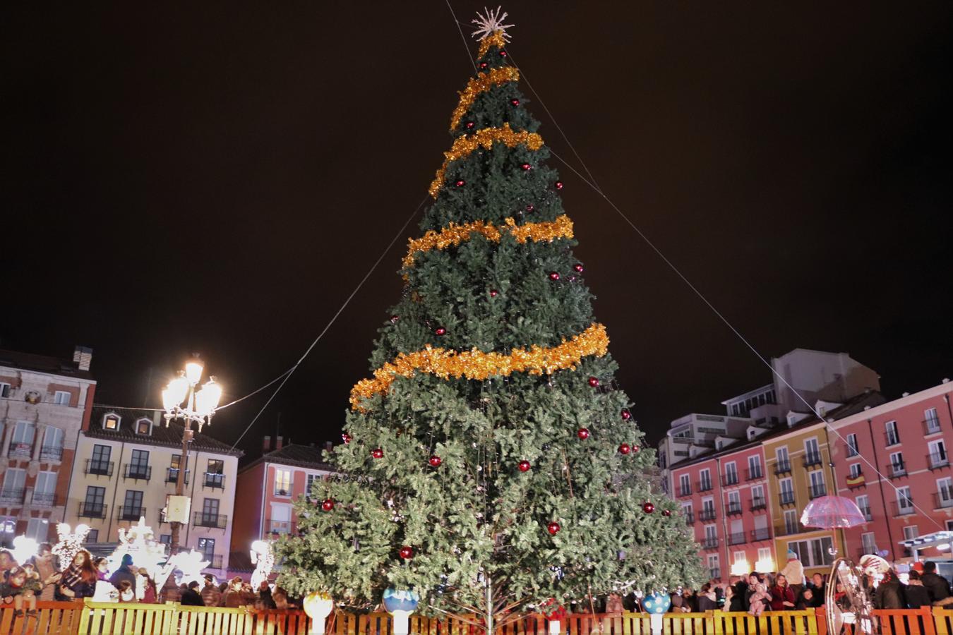 Así luce la Plaza Mayor tras el encendido del árbol