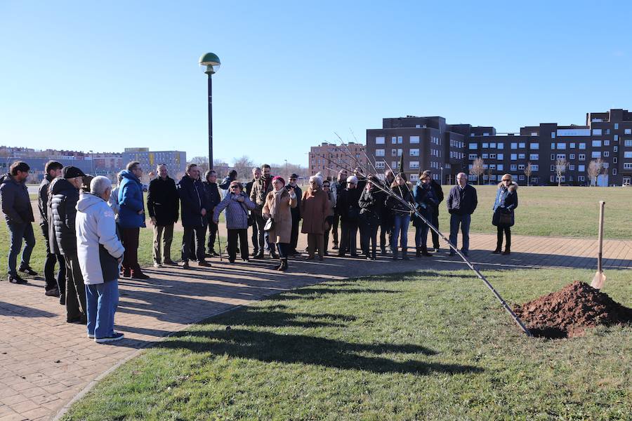 La Asociación Párkinson Burgos ha realizado su tradicional plantación de árboles en el Parque Juan Pablo II