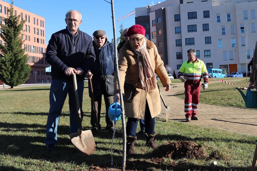 La Asociación Párkinson Burgos ha realizado su tradicional plantación de árboles en el Parque Juan Pablo II