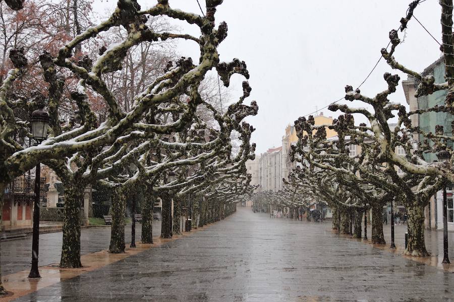 La incesante nieve ha caído durante toda la jornada del sábado ha dejado bellas estampas en la ciudad
