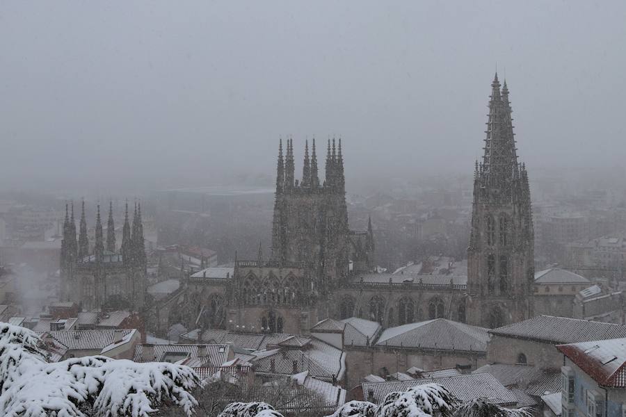 La incesante nieve ha caído durante toda la jornada del sábado ha dejado bellas estampas en la ciudad
