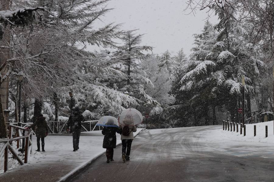 La incesante nieve ha caído durante toda la jornada del sábado ha dejado bellas estampas en la ciudad