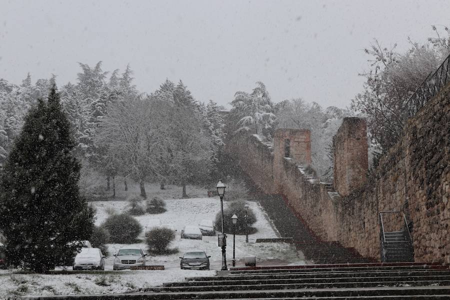 La incesante nieve ha caído durante toda la jornada del sábado ha dejado bellas estampas en la ciudad