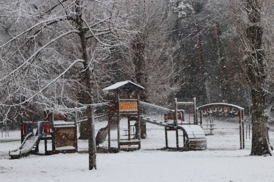 La incesante nieve ha caído durante toda la jornada del sábado ha dejado bellas estampas en la ciudad