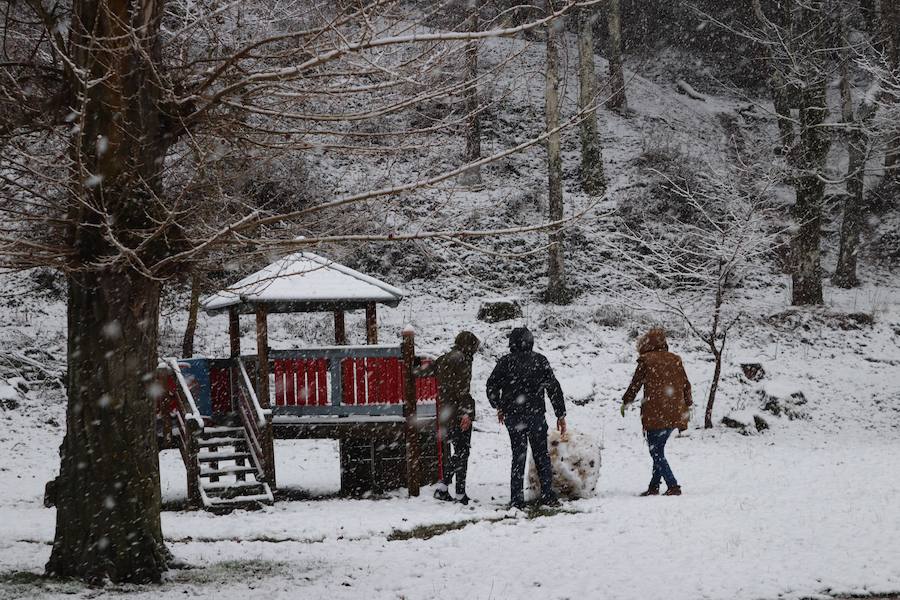 La incesante nieve ha caído durante toda la jornada del sábado ha dejado bellas estampas en la ciudad