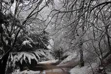 La incesante nieve ha caído durante toda la jornada del sábado ha dejado bellas estampas en la ciudad