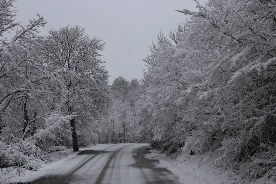 La incesante nieve ha caído durante toda la jornada del sábado ha dejado bellas estampas en la ciudad