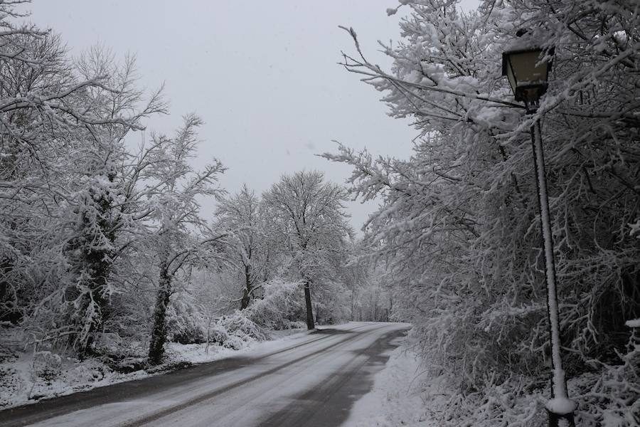 La incesante nieve ha caído durante toda la jornada del sábado ha dejado bellas estampas en la ciudad